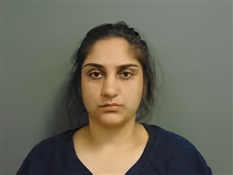 Mugshot of SARAH ALI