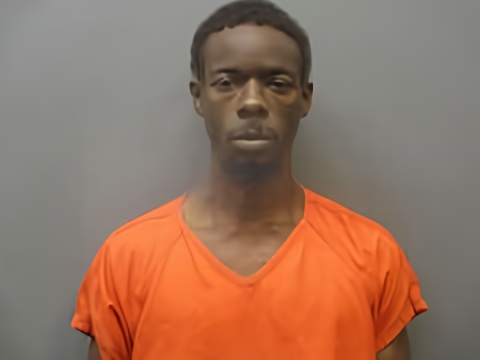 Mugshot of KARLNELIUS BROWN