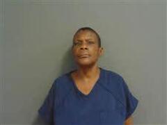 Mugshot of STACEY DAVID