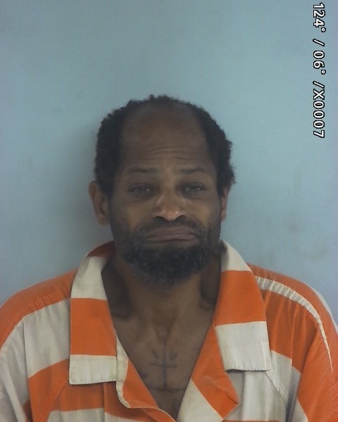 Mugshot of Alexandra Dwyan Robbins