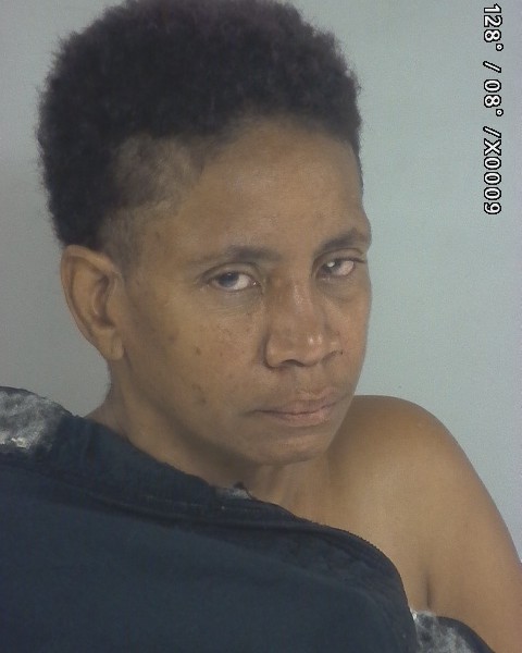 Mugshot of Sherry Renee Hodge