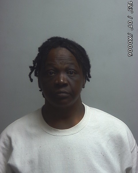 Mugshot of Bora Lynn Nelson