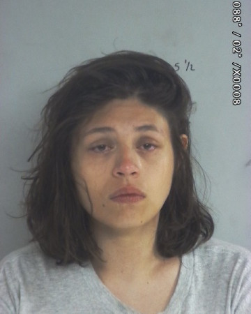 Mugshot of Liliana Alicia Castro
