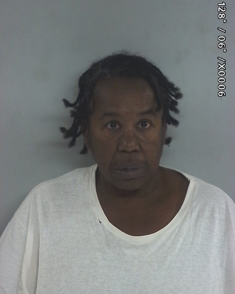 Mugshot of Teresa Jenkins Freeman