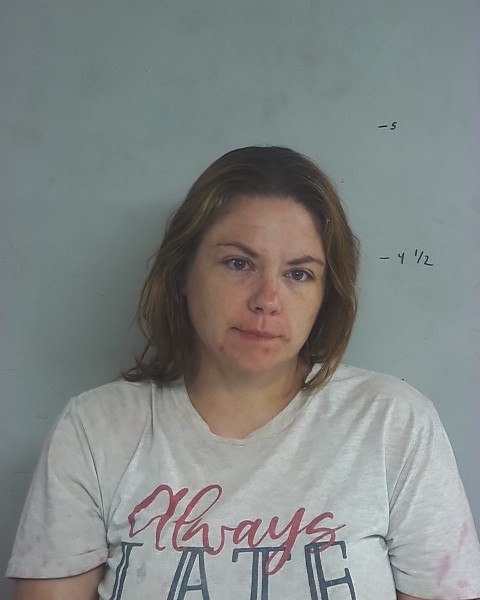 Mugshot of Rebecca Nichole Sheppard