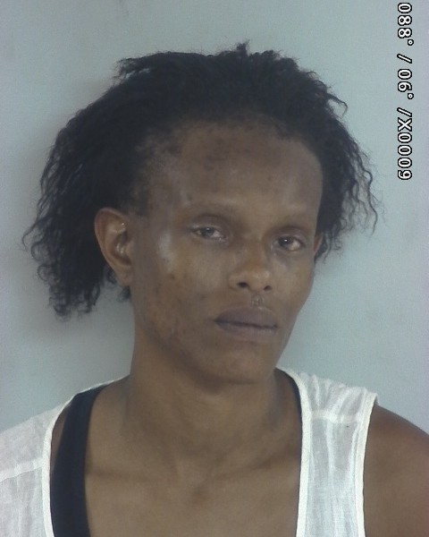 Mugshot of Tiara Bell