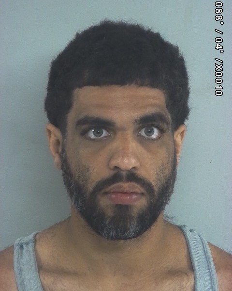 Mugshot of Johnny Lee Holley