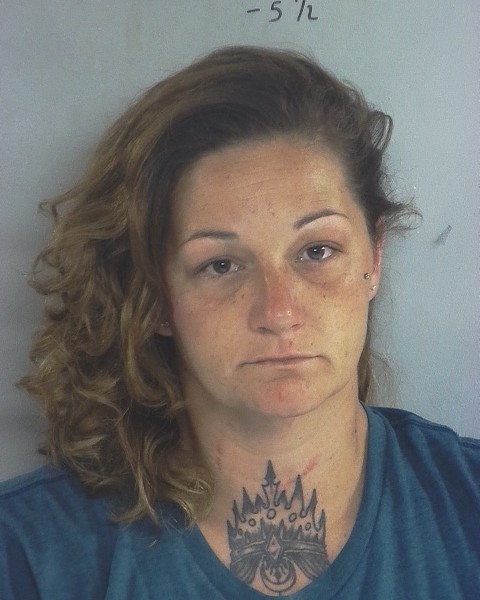 Mugshot of Jennifer Leanne Goins