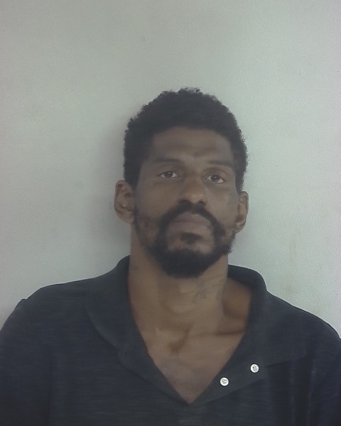 Mugshot of Dominique Ja Keith Jackson
