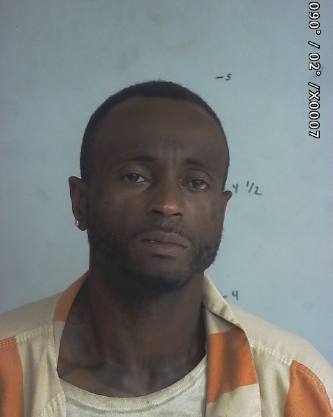 Mugshot of Jakelin Demonze Greer