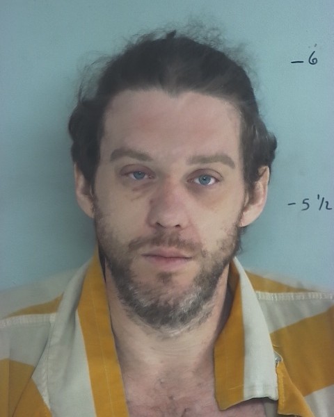Mugshot of David Joshua Collins