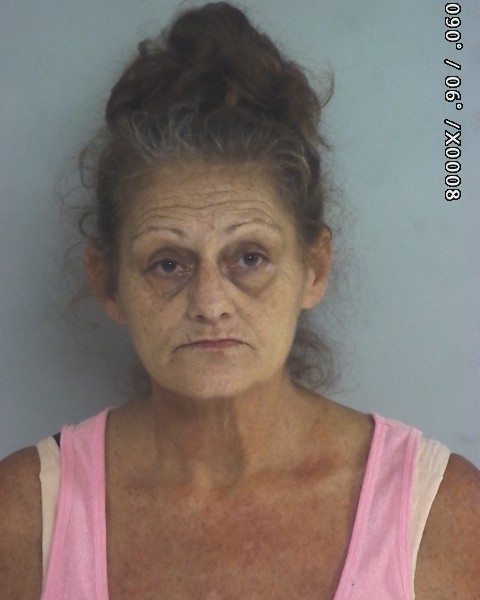 Mugshot of Barbara Lynn Rushing