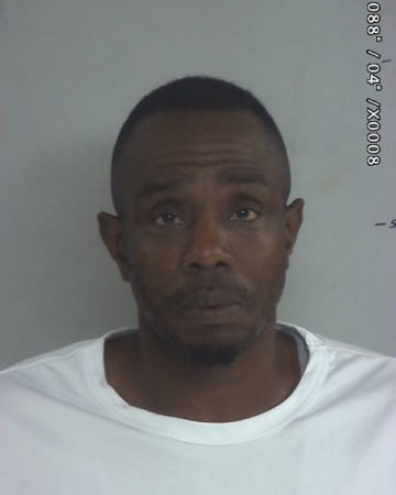 Mugshot of Charles Lamon Page