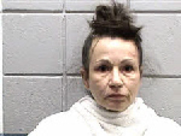 Mugshot of LORI MICHELLE LOZANO