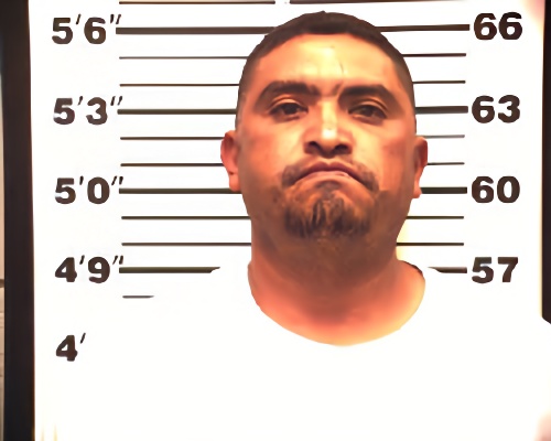 Mugshot of JOSE HECTOR MEDINA
