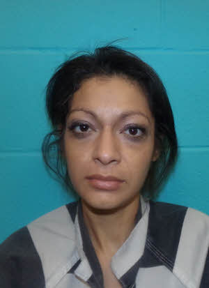 Mugshot of LISA MARIE SANCHEZ