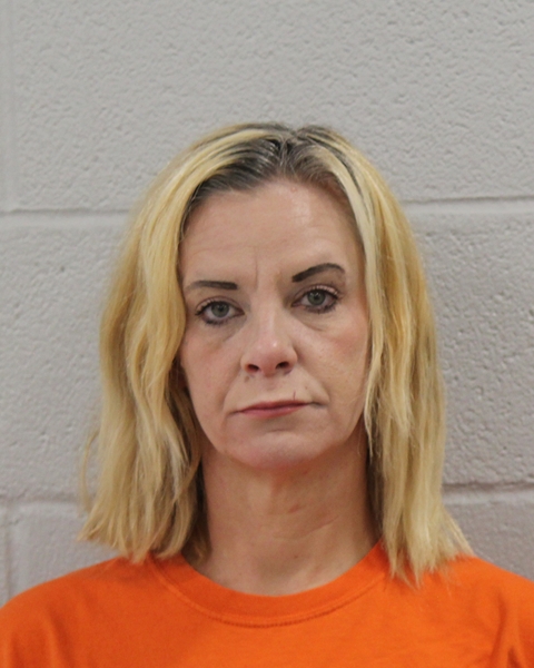 Mugshot of BRANDI NICOLE WEST