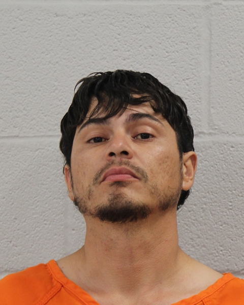 Mugshot of CARLOS ALBERTO ALVIDREZ