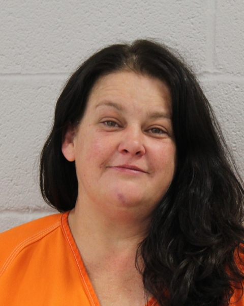 Mugshot of KATRINA DIANE HOFFMAN