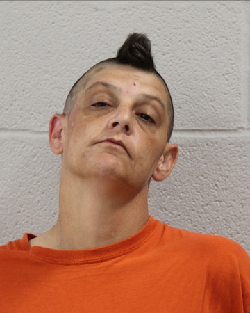 Mugshot of NIKKI NICOLE HOLADAY