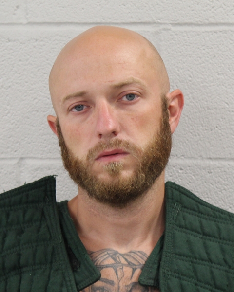 Mugshot of DAMON TODD LUTHER