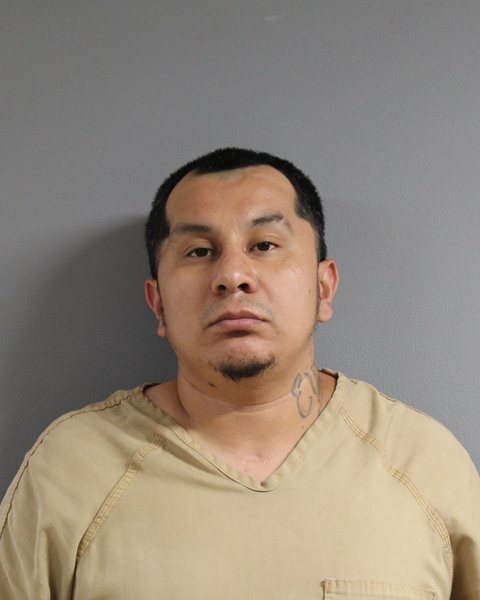 Mugshot of GERARDO IBARRA