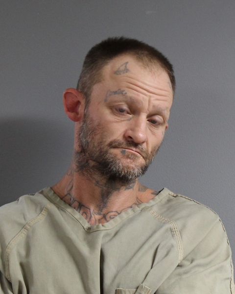 Mugshot of RICKY LYNN STARR
