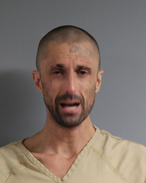 Mugshot of WESLEY WAYNE KING