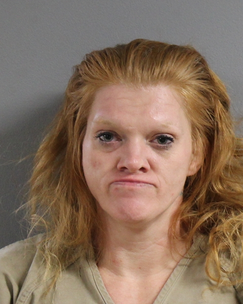 Mugshot of DIANA ROSE HIRES