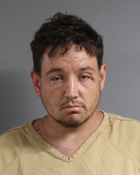 Mugshot of MICHAEL WILLIAM HALSE