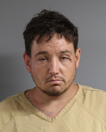 Mugshot of MICHAEL WILLIAM HALSE