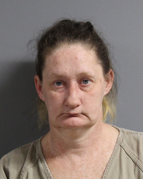 Mugshot of MELISSA GAIL-FRANCE MITCHELL