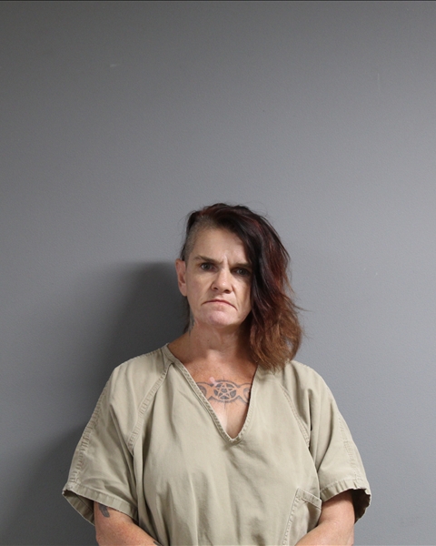Mugshot of JESSICA RENEE COX