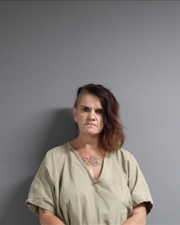 Mugshot of JESSICA RENEE COX