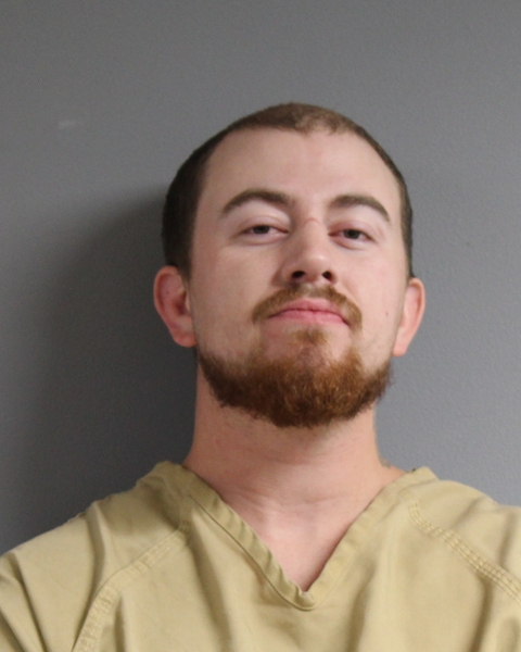 Mugshot of DAVID WAYNE HARRISON