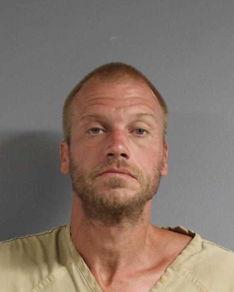 Mugshot of ROBERT LEE JR HEDGES