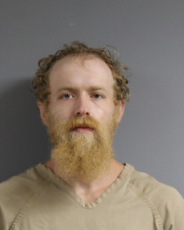 Mugshot of WILLIAM CARTER WILDER-HICKEL