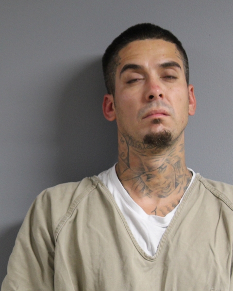 Mugshot of LEE MICHAEL WHITE