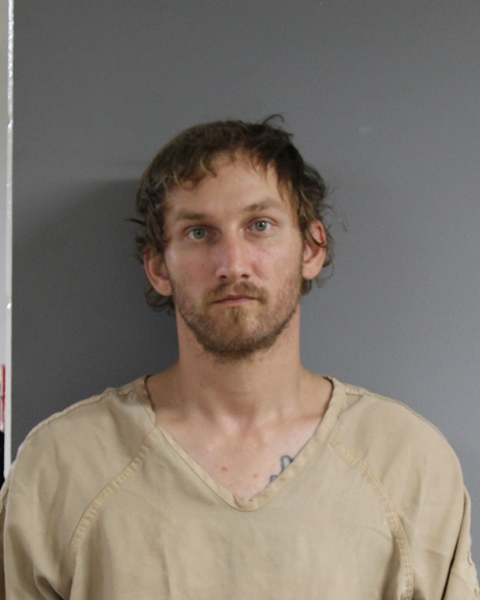 Mugshot of TYLER WAYNE RODEN