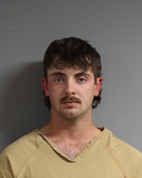 Mugshot of LANE MORGAN MCCABE