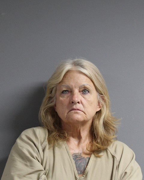 Mugshot of CARRIE RENE LEIJA