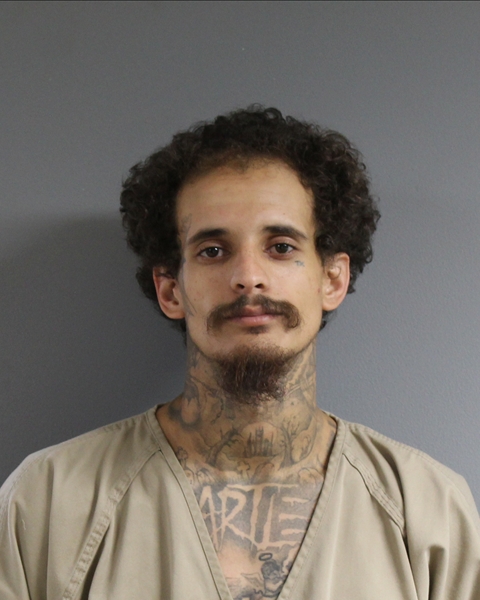 Mugshot of GALVIN ZAHN DAVIS