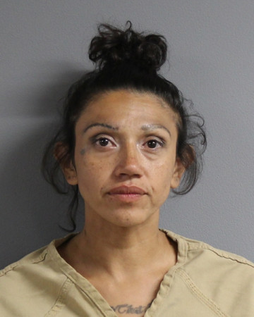 Mugshot of APRIL MARIE RODRIGUEZ