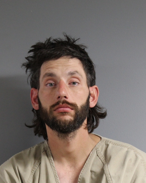 Mugshot of TATE LEE BLEDSOE