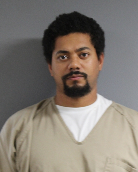 Mugshot of ELLIS J WILSON