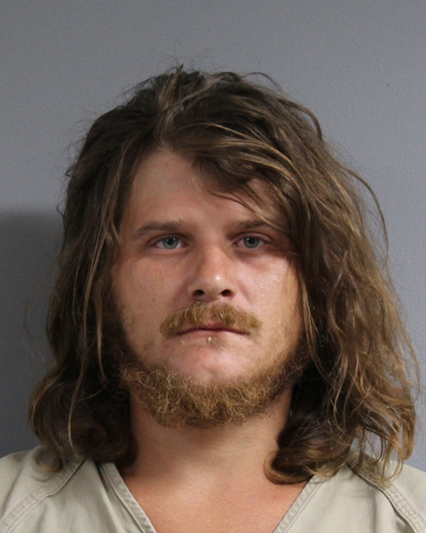 Mugshot of DAVID MICHAEL HORN