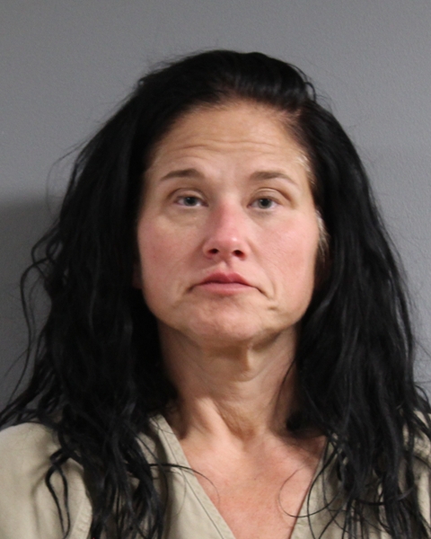 Mugshot of AMANDA BETH DANIELS