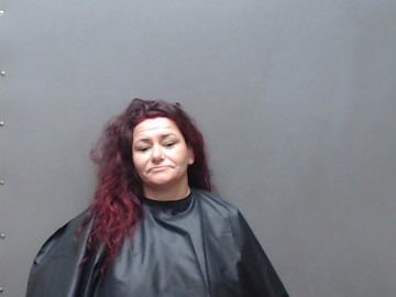 Mugshot of VIRGINIA SUE PERRIN