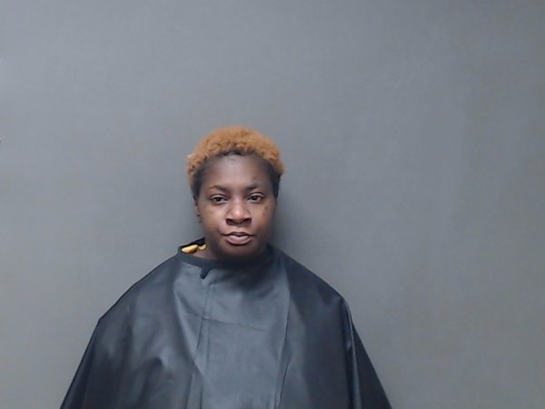 Mugshot of ALEXICE NICOLE-PATRIESE SMITH