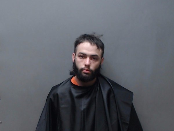 Mugshot of AUSTIN LANE NEALY